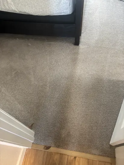 Highlands Ranch Berber Carpet Cleaning