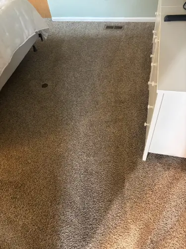 How to Choose a Carpet Cleaner in Lone Tree, CO