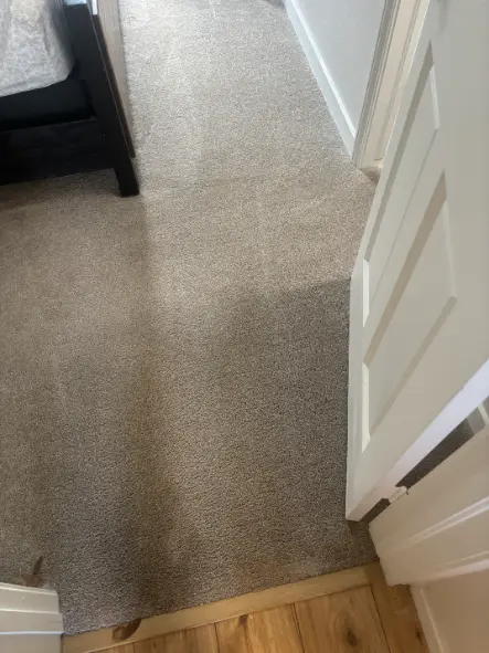 Lone Tree Berber Nylon Carpet Cleaning