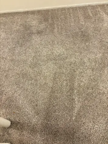 Parker Berber Loop Pile Carpet Cleaning