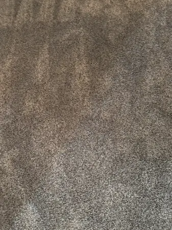 Englewood Berber Loop Pile Carpet Cleaning