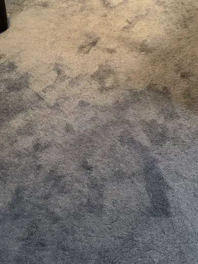 Englewood Berber Service Area Carpet Cleaning