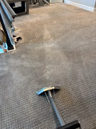 Englewood Berber Road Chemical Carpet Cleaning