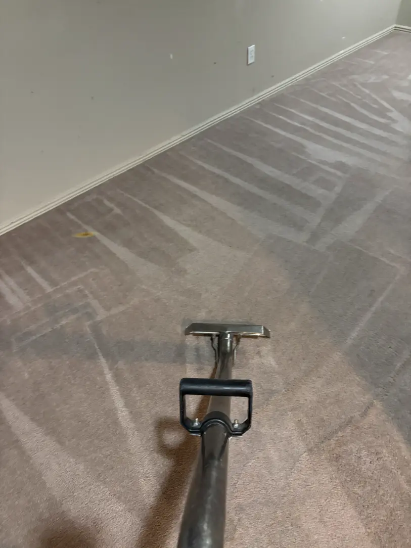Westminster Berber Wool Carpet Cleaning