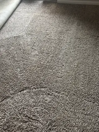 Westminster Berber Loop Pile Carpet Cleaning 