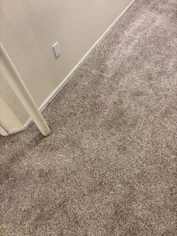Aurora Berber Loop Pile Carpet Cleaning