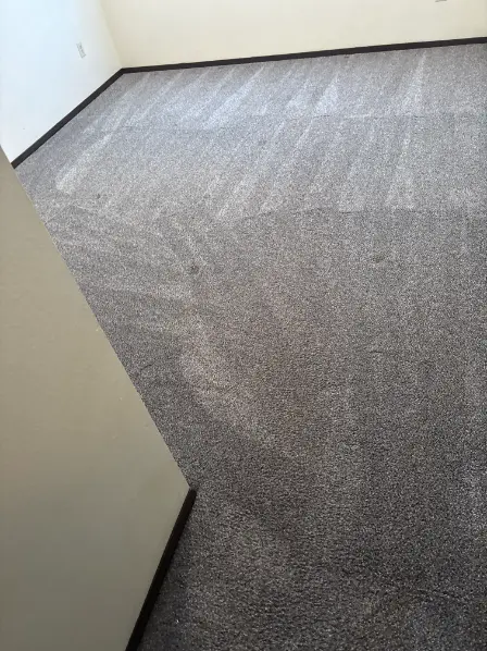 Broomfield Berber Wool Carpet Cleaning