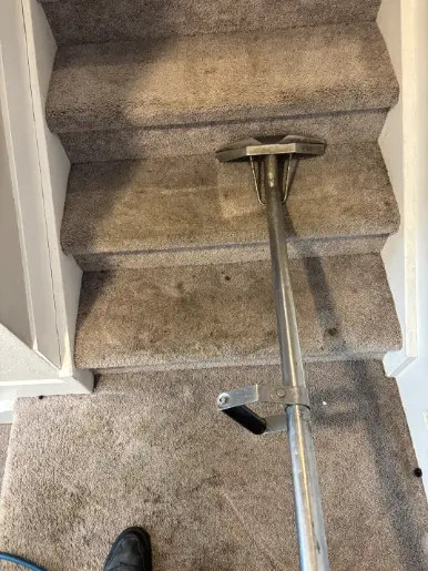 Broomfield Berber Commercial Oil Carpet Cleaning
