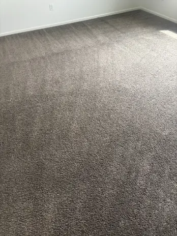 Broomfield Berber Loop Pile Carpet Cleaning