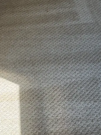 Arvada Berber Carpet Cleaning