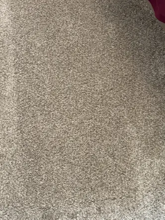 Arvada Berber Carpet Cleaning Cost