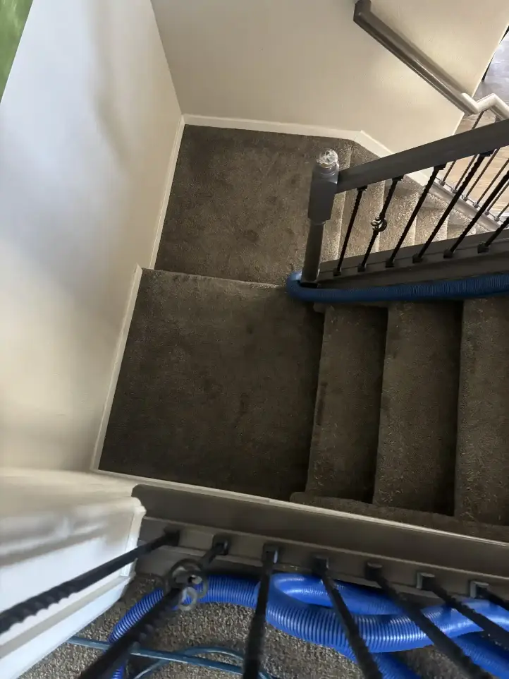 Littleton Berber Water Mineral Grit Carpet Cleaning 