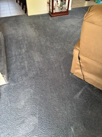 Littleton Berber Wicking Spots Carpet Cleaning 