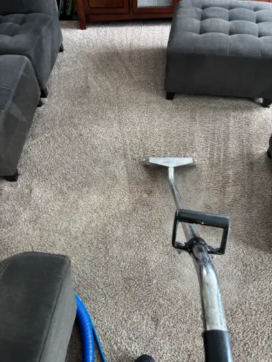 Franktown Berber Wicking Carpet Cleaning