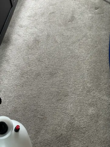 Morrison Berber Loop Pile Carpet Cleaning