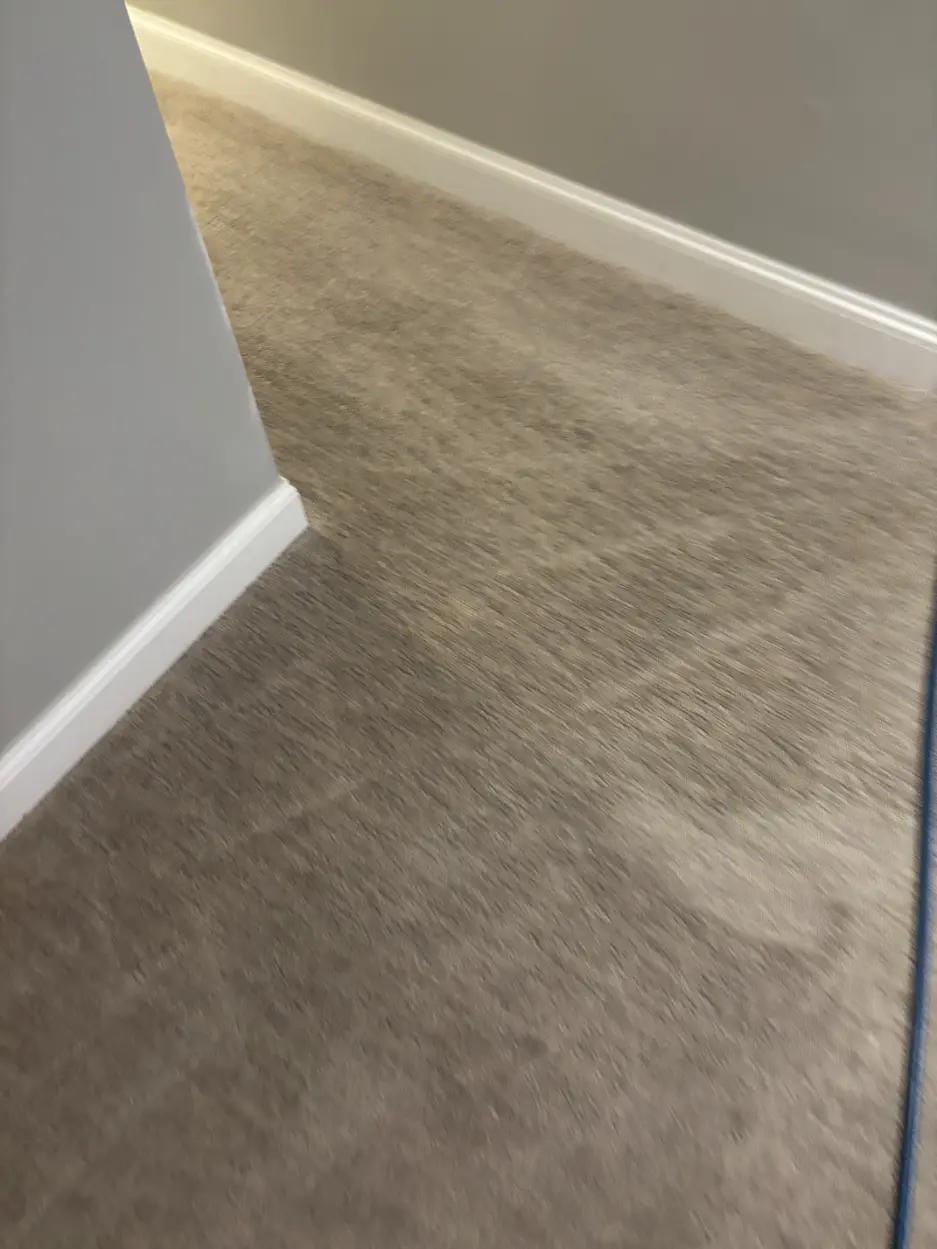 Morrison Berber Soil Carpet Cleaning