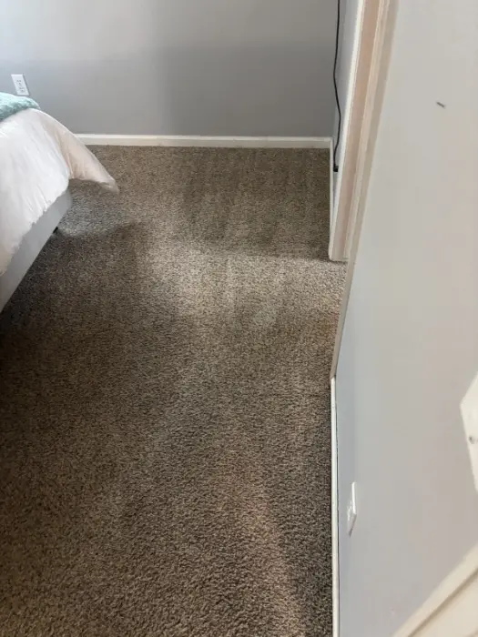 Morrison Berber Wool Carpet Cleaning