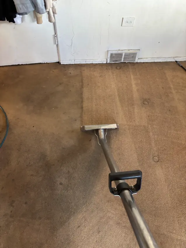 Morrison Berber Carpet Cleaning