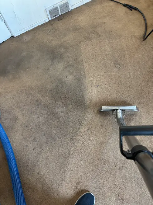 Morrison Berber Carpet Cleaning Cost