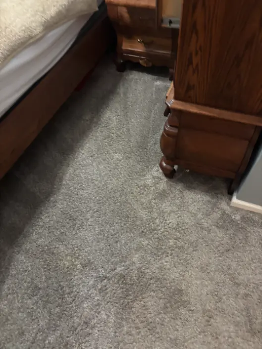 Lakewood Berber Loop Pile Carpet Cleaning