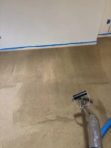 Lakewood Berber Carpet Cleaning Cost