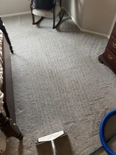 Lakewood Berber Olefin Oil Carpet Cleaning