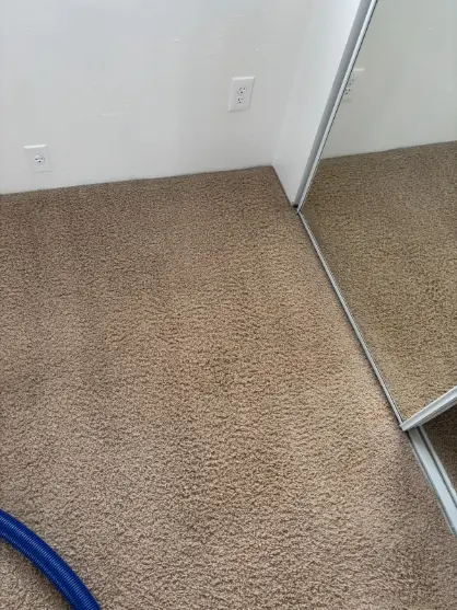 Lakewood Berber Wool Carpet Cleaning