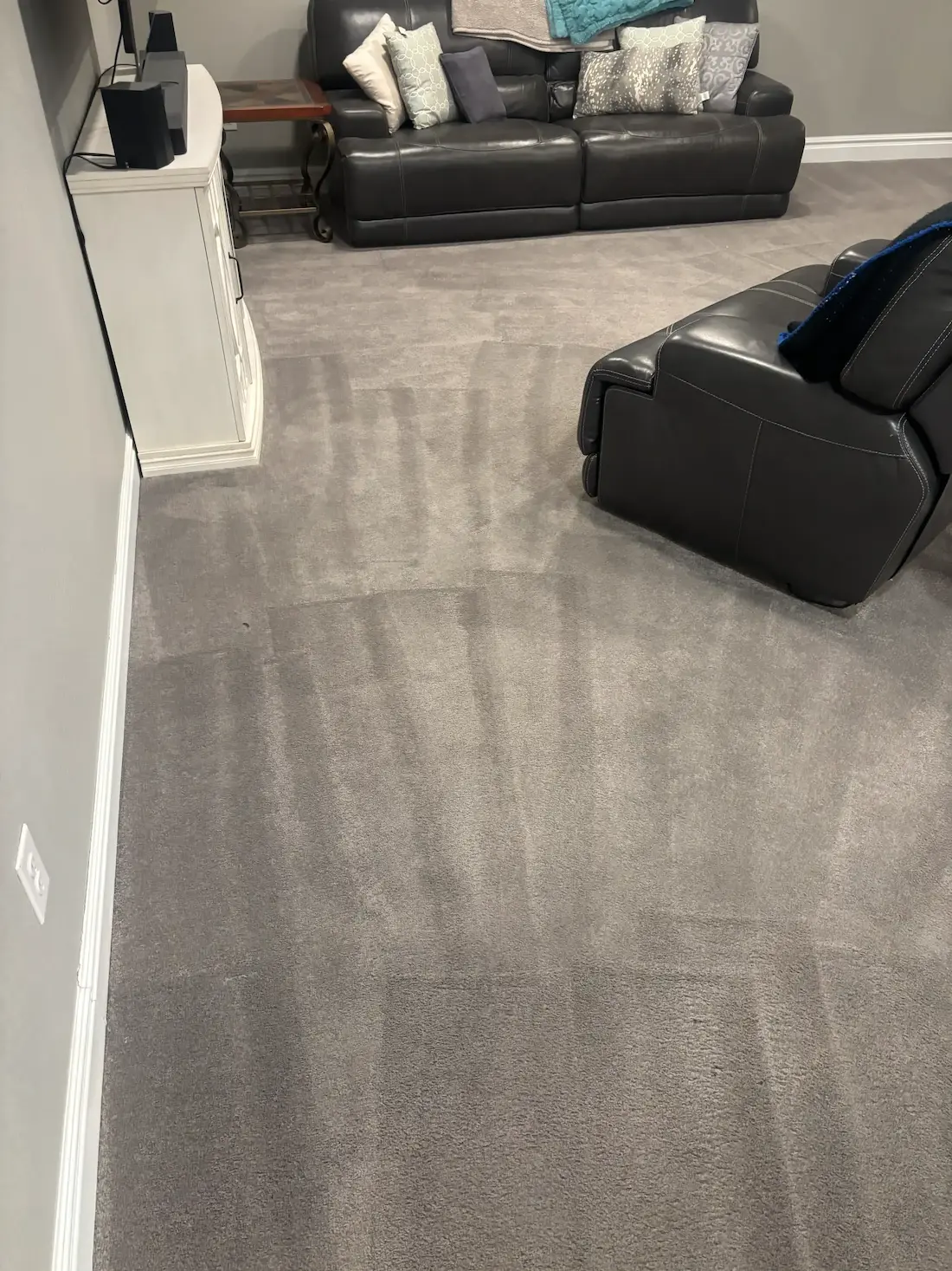 Emergency Pet Carpet Cleaning Westminster — Same Day We Showed Up
