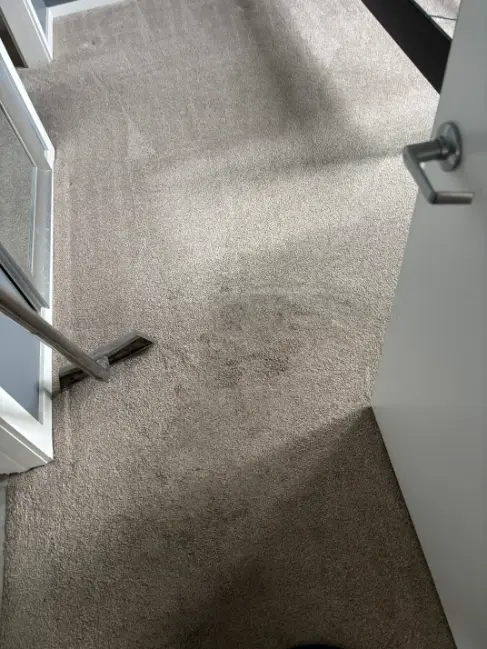 wool rug carpet cleaning casle rock