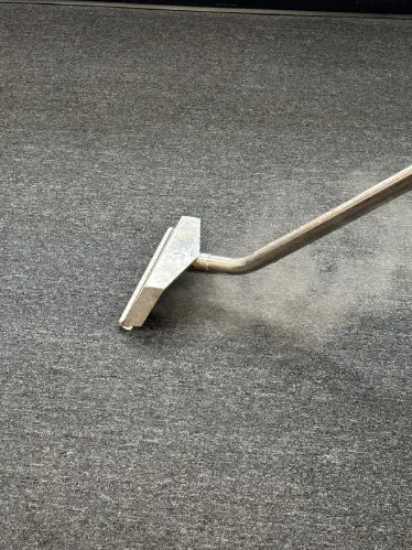 Berber Carpet Cleaning in Englewood