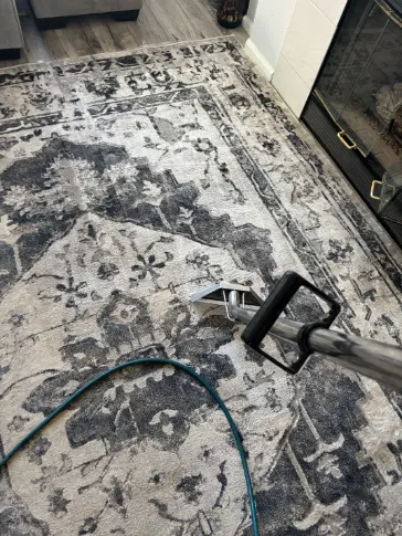 Rug Carpet Cleaning in Englewood
