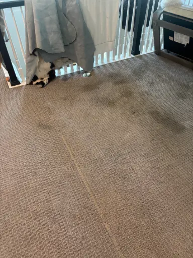 Olefin Carpet Cleaning Thornton