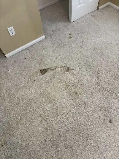 Red Clay Carpet Cleaning Thornton