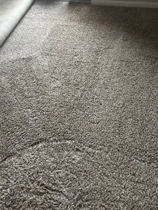 Thornton Carpet Cleaning Olefin Cleaning
