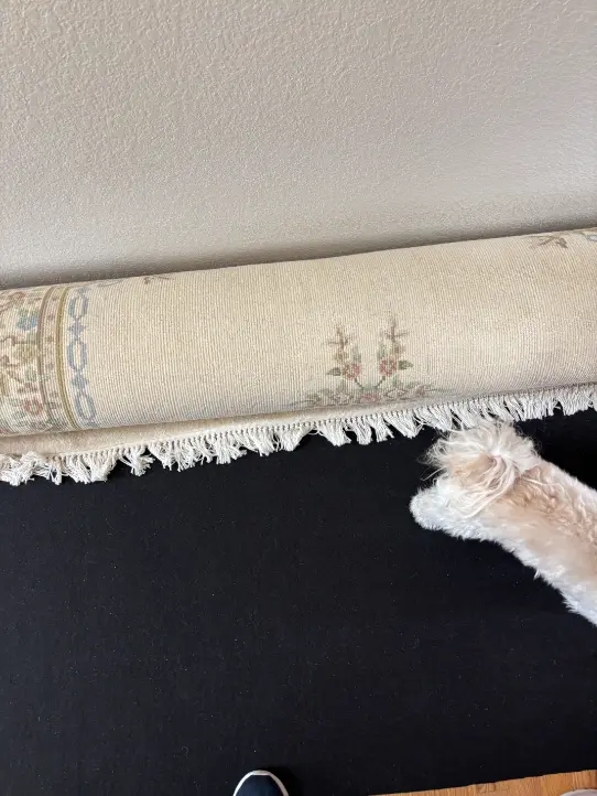 Elizabeth Color Bleed rug cleaning