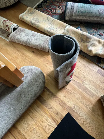 Greenwood Color Bleed rug cleaning