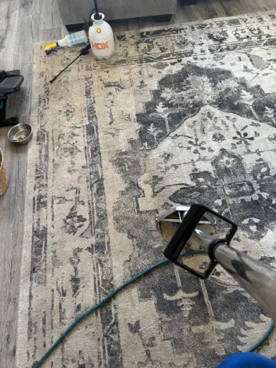 Greenwood rug cleaning Pricing