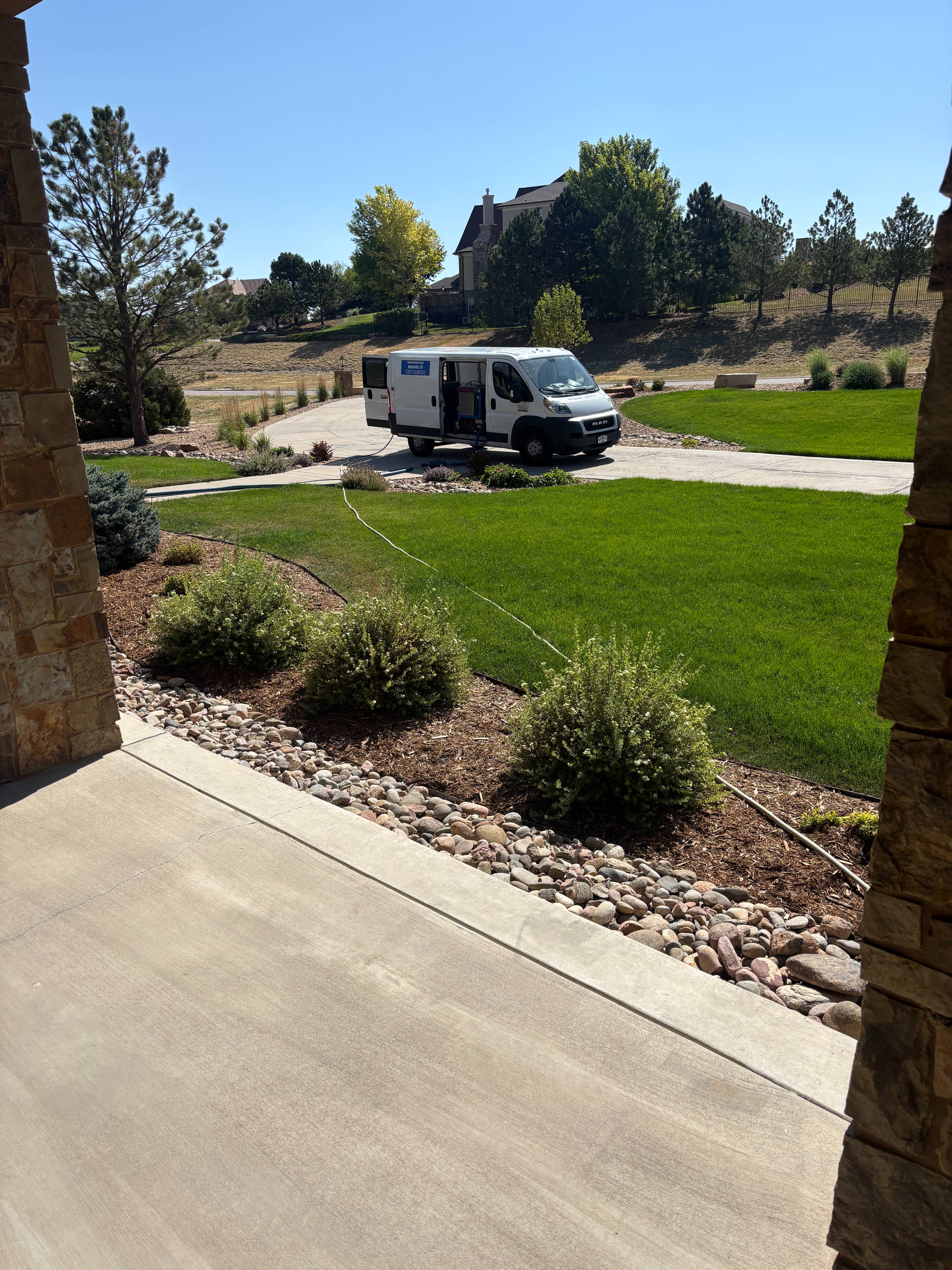 Carpet Cleaning