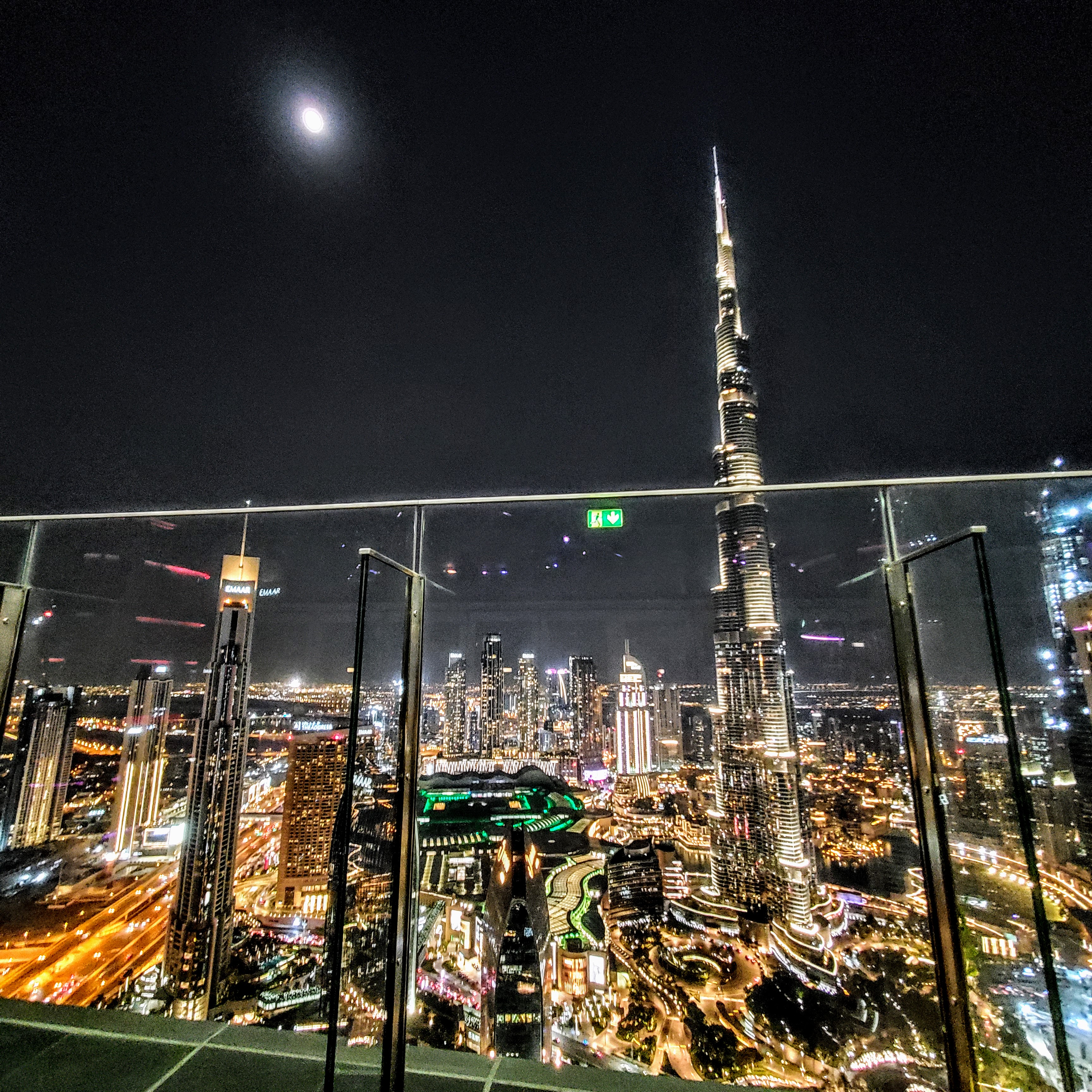 The Dubai Hotel Room and the Roots of the Bashan Oaks
