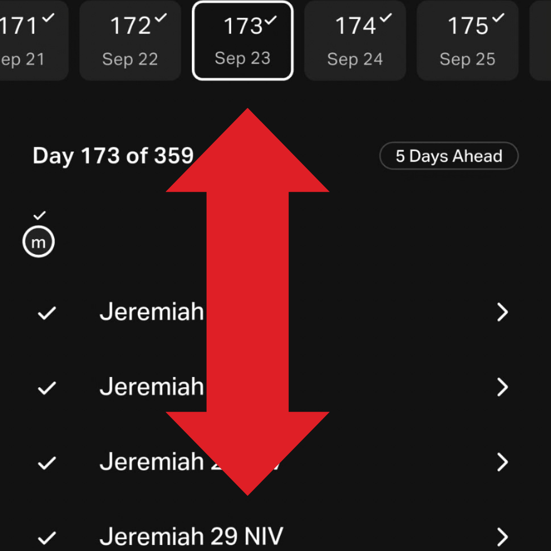 The Courtroom, the Shower Epiphany, and the Perfect Timing of Jeremiah 29:13