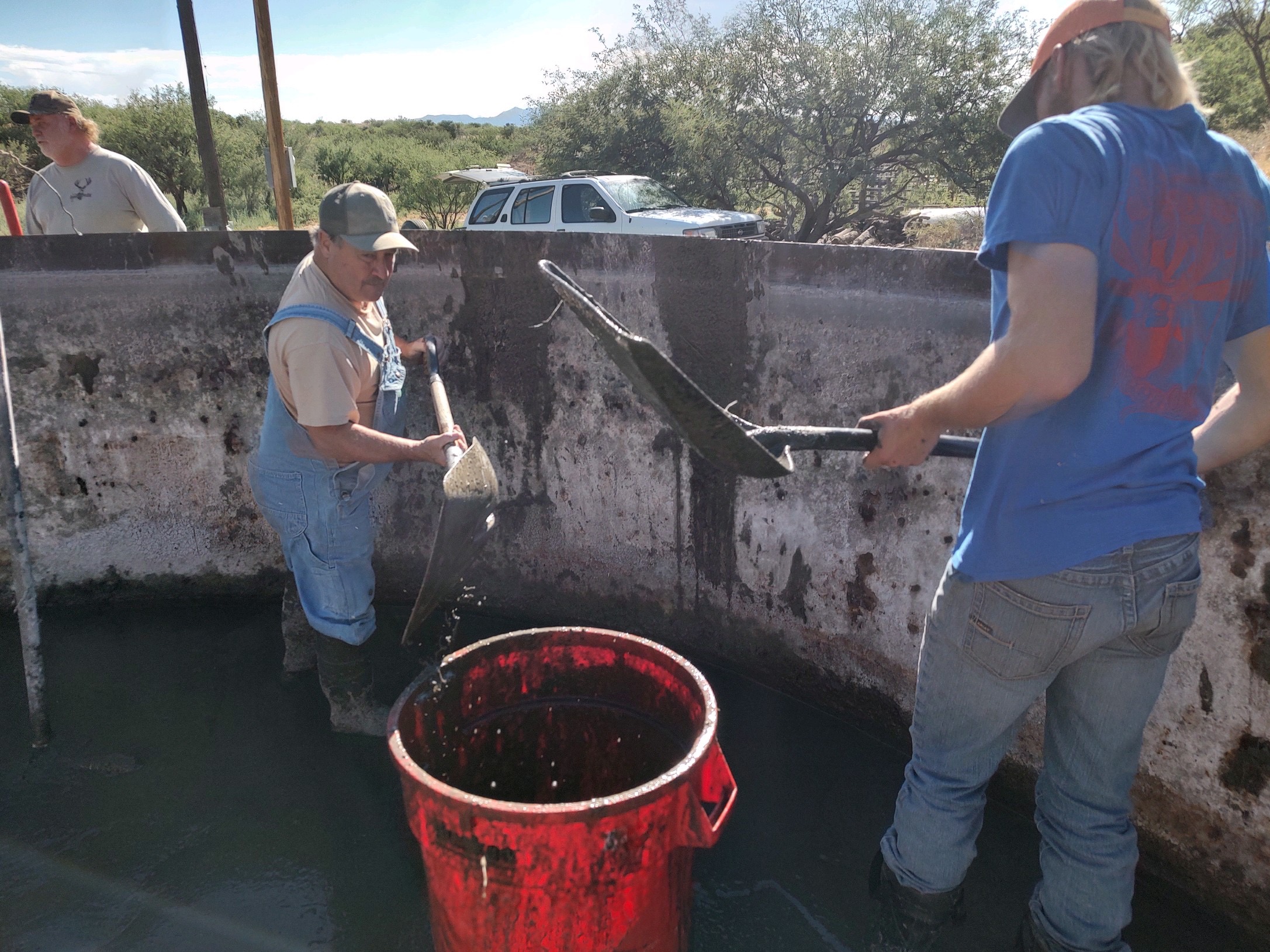 Arizona wildlife and mule deer habitat