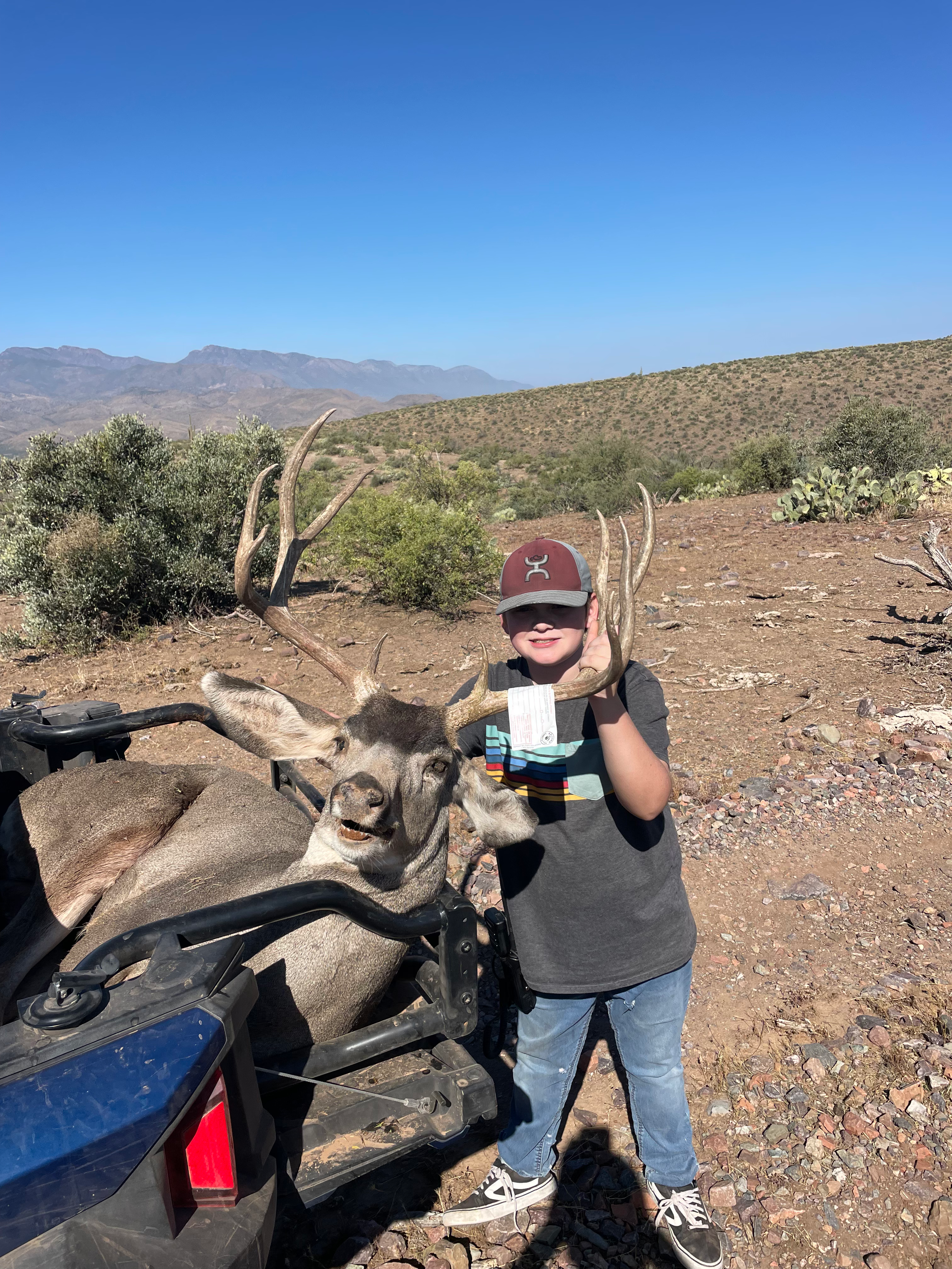 Arizona Mule Deer field conservation