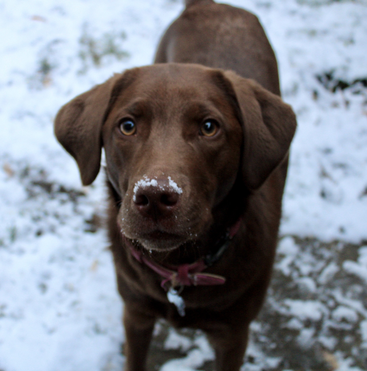 Hannah, Andy and Bella