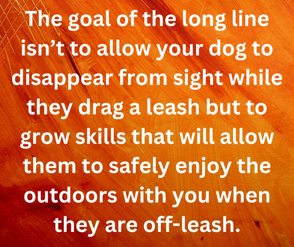 Quote "the goal of the long line isn’t to allow your dog to disappear from sight while they drag a leash but to grow skills that will allow them to safely enjoy the outdoors with you when they are off-leash."