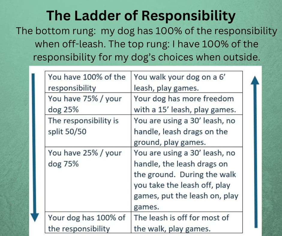 Ladder of responsibility in a diagram.