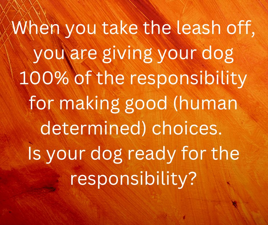 Quote from the post "When you take the leash off, you are giving your dog 100% of the responsibility"
