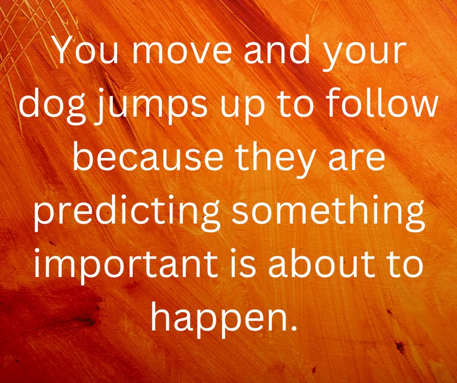 A quote from the article