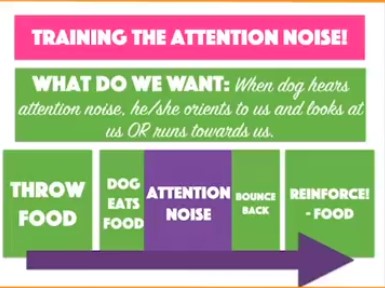 Diagram discussing the Attention Noise