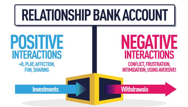 Diagram showing the positive and negative side of the Relationship Bank Account