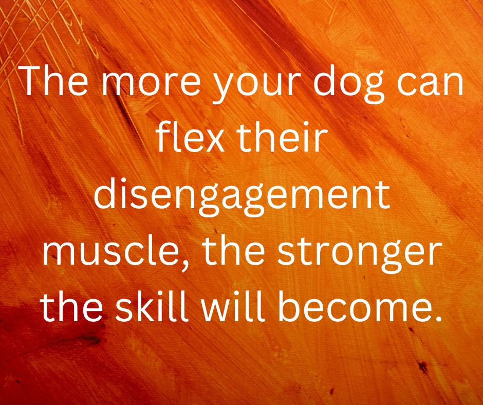 Quote from the post "The more your dog can flex their disengagement muscle, the stronger the skill will become." Quote from the post "The more your dog can flex their disengagement muscle, the stronger the skill will become."